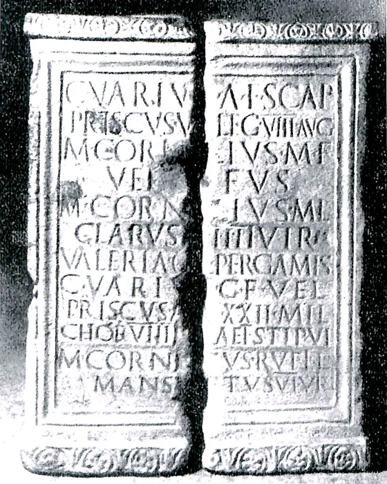 Il museo archeologico di Schio, dalle origini al 1912 image