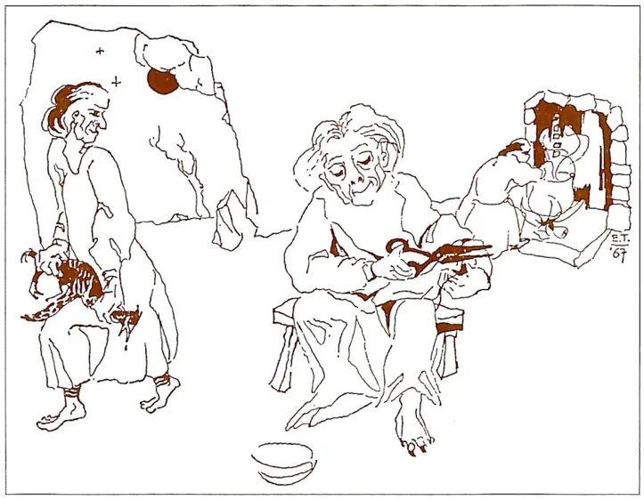 La signora di Valli dei Signori image