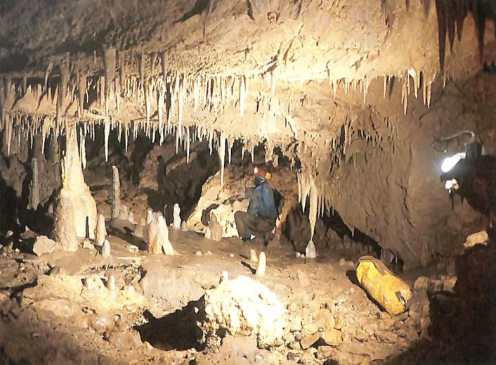 Nuove Straordinarie Scoperte Speleologiche nel Territorio di Monte di Malo