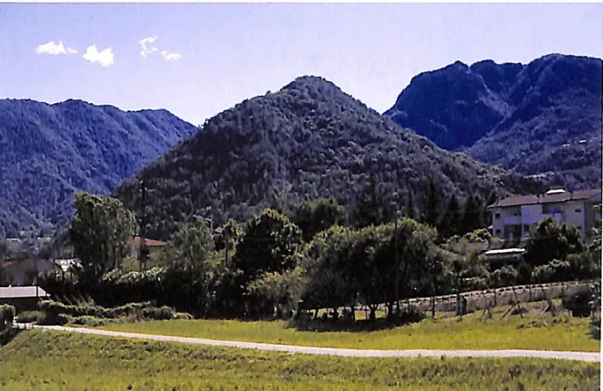 Il Monte Naro (Torrebelvicino). Geologia e miniere