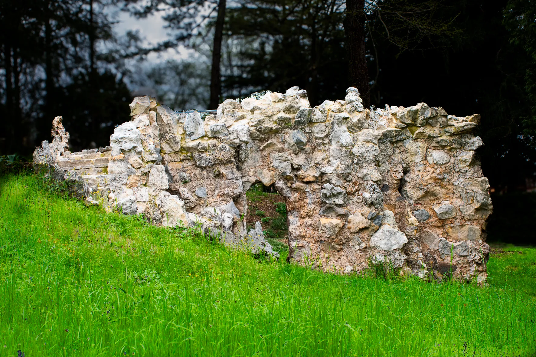 Il restauro del Parco di Villa Rossi image